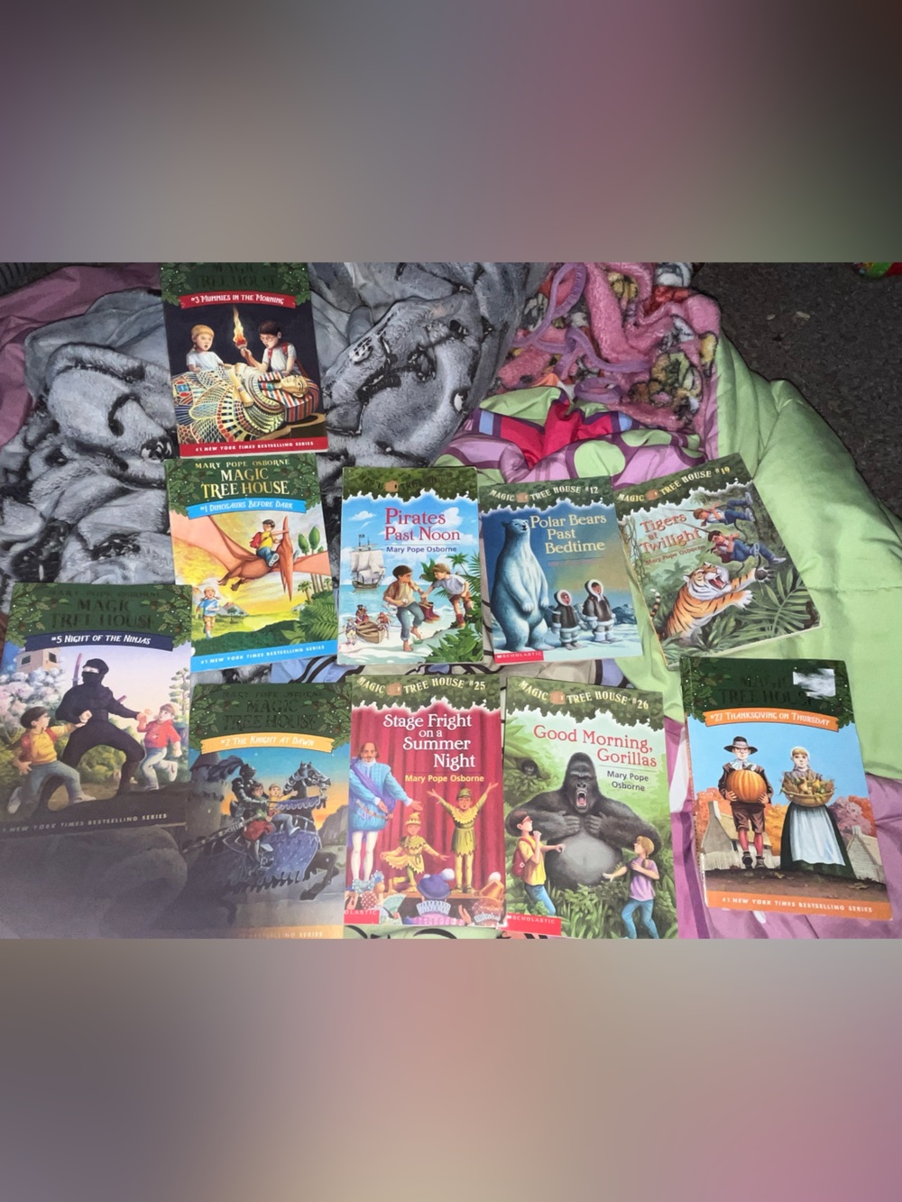 Magic tree house 10- book bundle
